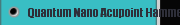 Quantum Nano Acupoint Hammer