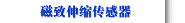 磁致伸縮傳感器