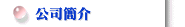 公司簡介