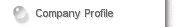 Company Profile