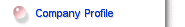 Company Profile