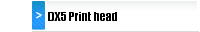 DX5 Print head