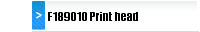 F189010 Print head