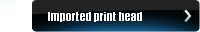 Imported print head