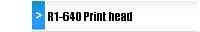 R1-640 Print head