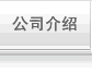 公司介绍
