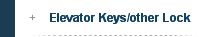 Elevator Keys/other Lock