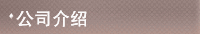公司介绍