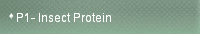 P1- Insect Protein