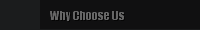 Why Choose Us