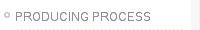 PRODUCING PROCESS