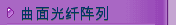 曲面光纤阵列  
