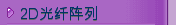 2D光纤阵列