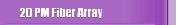 2D PM Fiber Array
