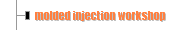 molded injection workshop