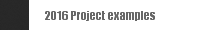 2016 Project examples