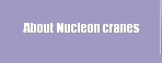  About Nucleon cranes