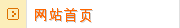 网站首页