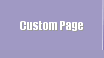 Custom Page