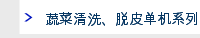 蔬菜清洗、脱皮单机系列