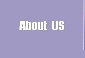 About  US