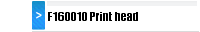 F160010 Print head