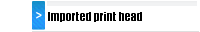 Imported print head