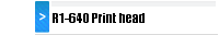 R1-640 Print head