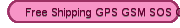 Free Shipping GPS GSM SOS GPRS Tracker Watch Double Locate Smart Child watch