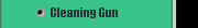 Cleaning Gun 