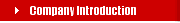 Company Introduction