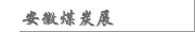 安徽煤炭展