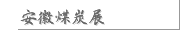 安徽煤炭展