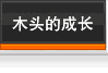 木头的成长