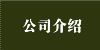 公司介绍