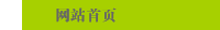 网站首页
