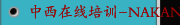 中西在线培训-NAKANISHI-数字显示振幅丨独特的功能