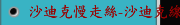 沙迪克慢走絲-沙迪克線切割ALN400G_600G