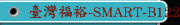 臺灣福裕-SMART-B1224IV 緩進給成型磨床FSG-C1224CNC