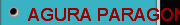 AGURA PARAGON MACHINERY High Precision Compound, Internal Grinder, Centerless
