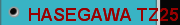 HASEGAWA TZ25 high-precision composite 4-axis rotary milling machine