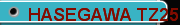 HASEGAWA TZ25 high-precision composite 4-axis rotary milling machine