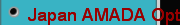 Japan AMADA Optical Curve Grinder