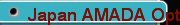 Japan AMADA Optical Curve Grinder