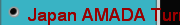 Japan AMADA Turning and Milling Machine