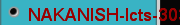 NAKANISH-Icts-3030