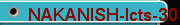 NAKANISH-Icts-3030