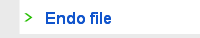 Endo file
