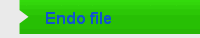 Endo file