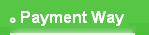 Payment Way
